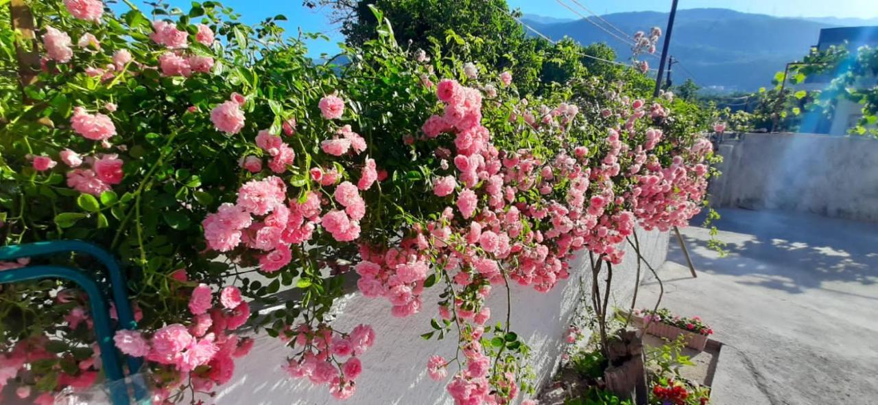 Ban Apartmani บุดวา ภายนอก รูปภาพ